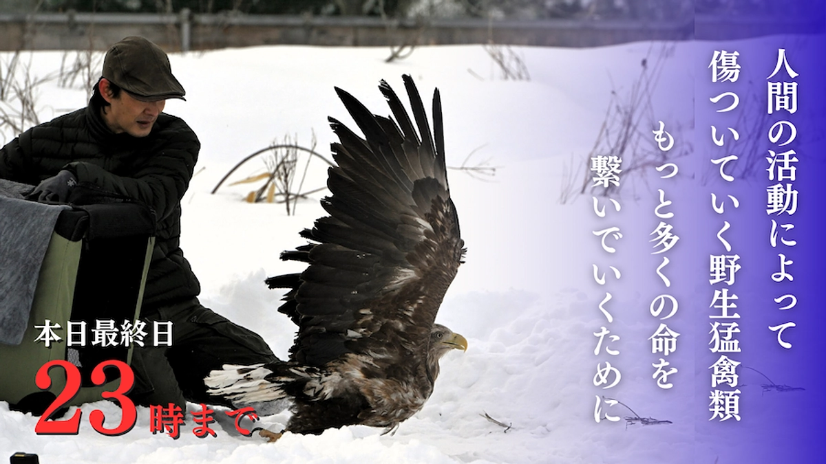 本日最終日23時まで！