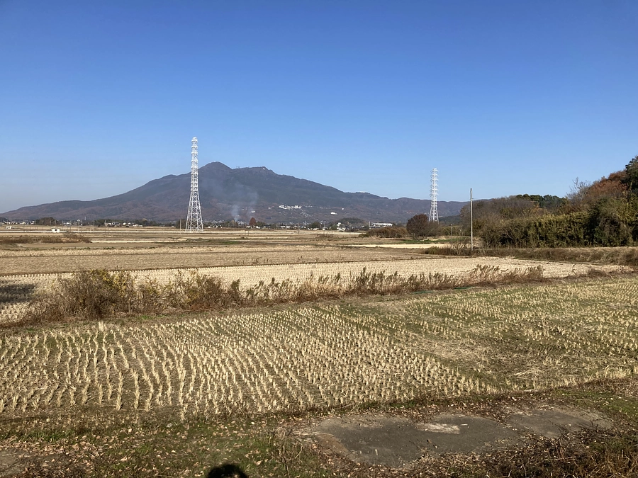 はんげしょう米を食べよう！