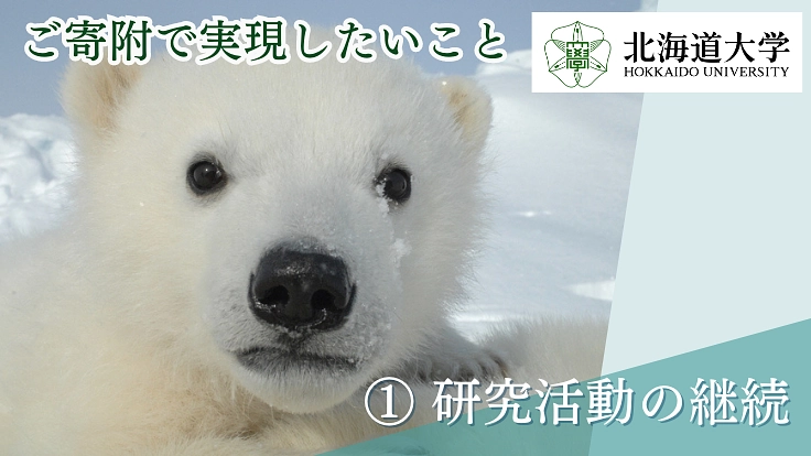 第2弾!世界のクマ研究最前線|人とクマが共に生きられる環境を未来へ 2枚目