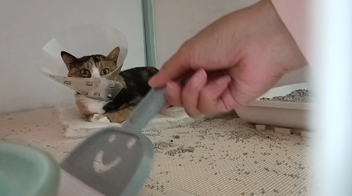 皆様おはようございます