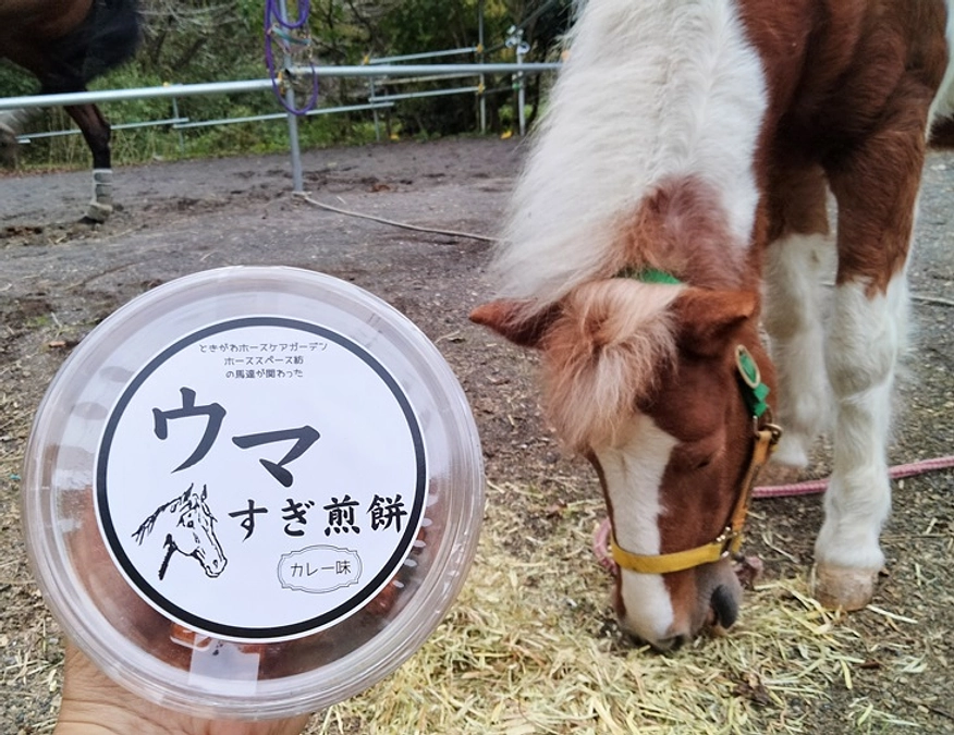 【あと７日！】ときがわホースケアガーデン代表 鈴木詠介様よりいただいた応援メッセージとお煎餅の話