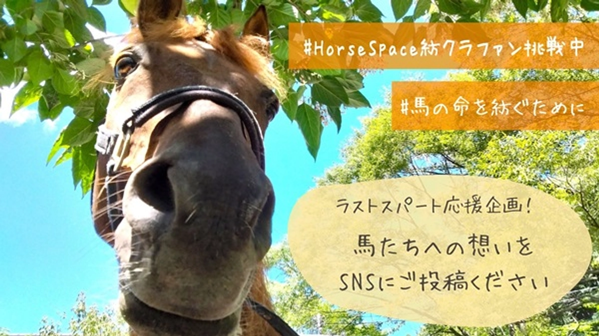 【拡散希望】ハッシュタグ企画始動！#馬の命を紡ぐために #HorseSpace紡クラファン挑戦中