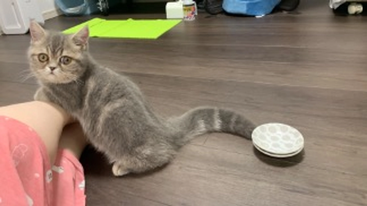 7/10はじめての検査.4