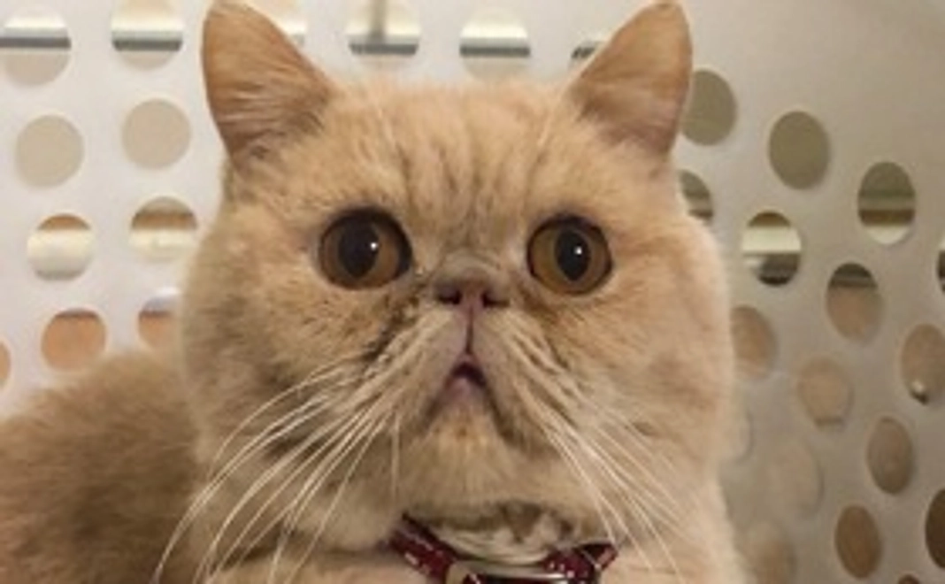 リターンあり1000円