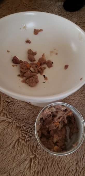 昨日の夕方　　　達成率61％残り4日です。