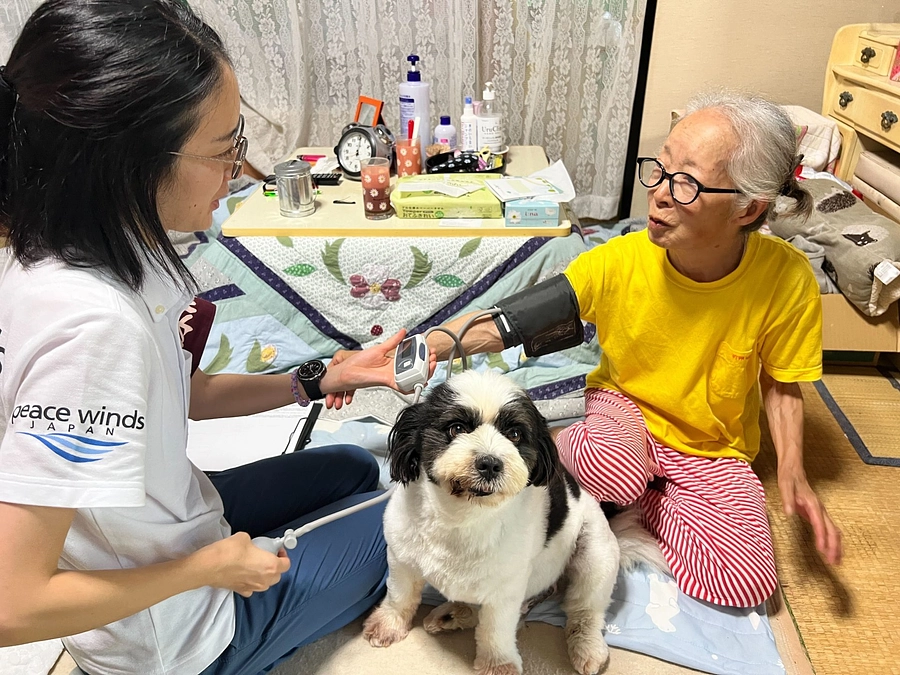 【令和6年能登半島地震】から半年。現在の被災地の様子と活動レポート (2024年7月5日時点)