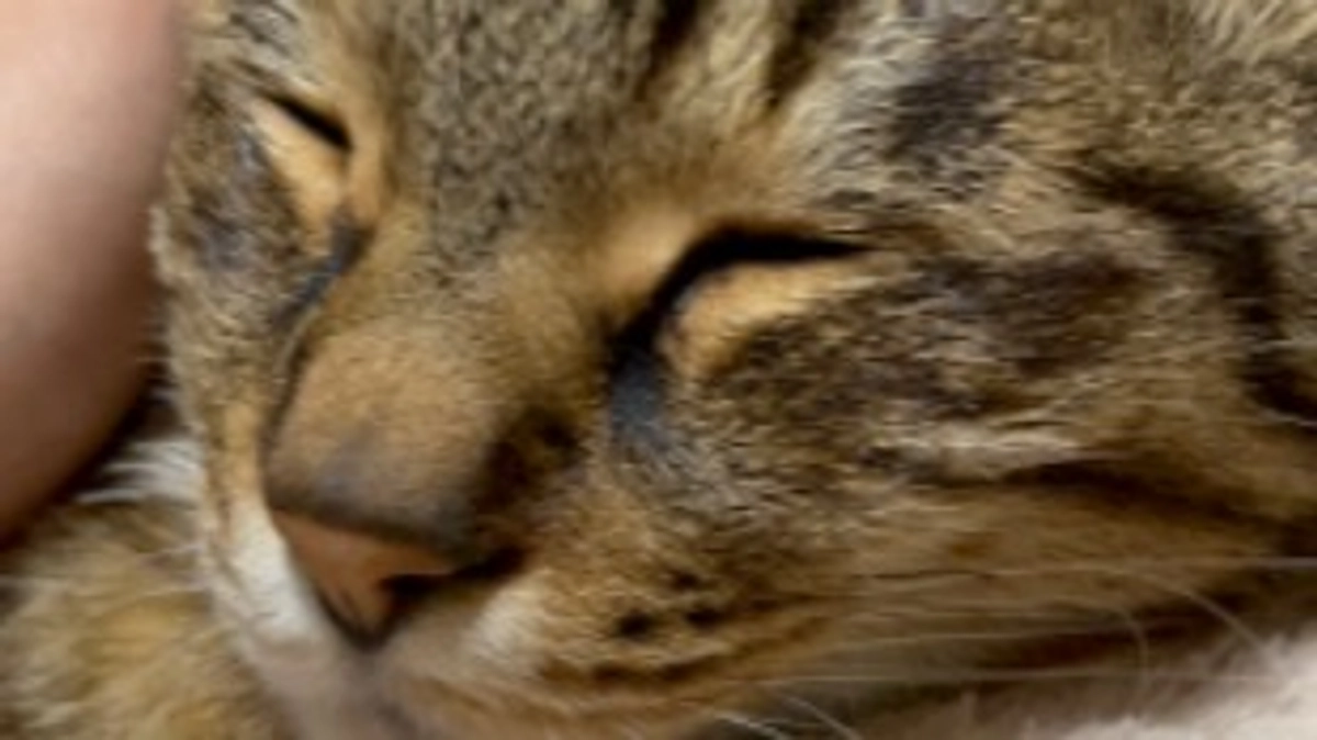 【今日のなっちゃん】5月26日