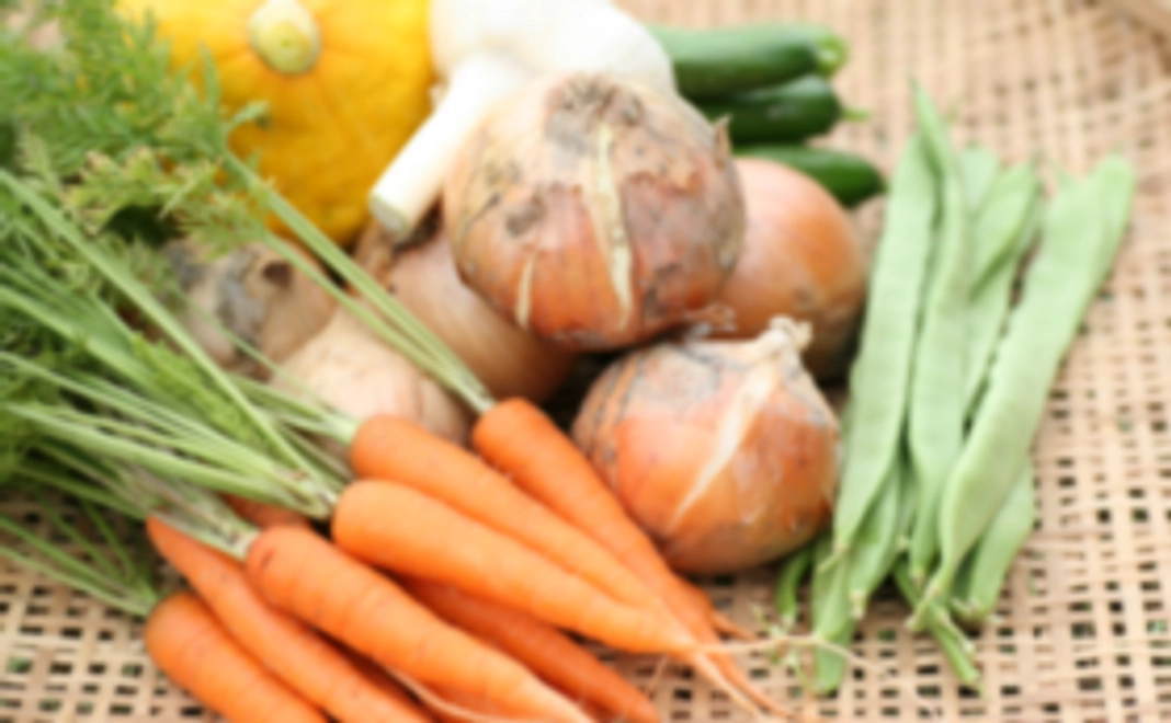 【リターン追加】ビオアグリ厳選！自然栽培野菜セット