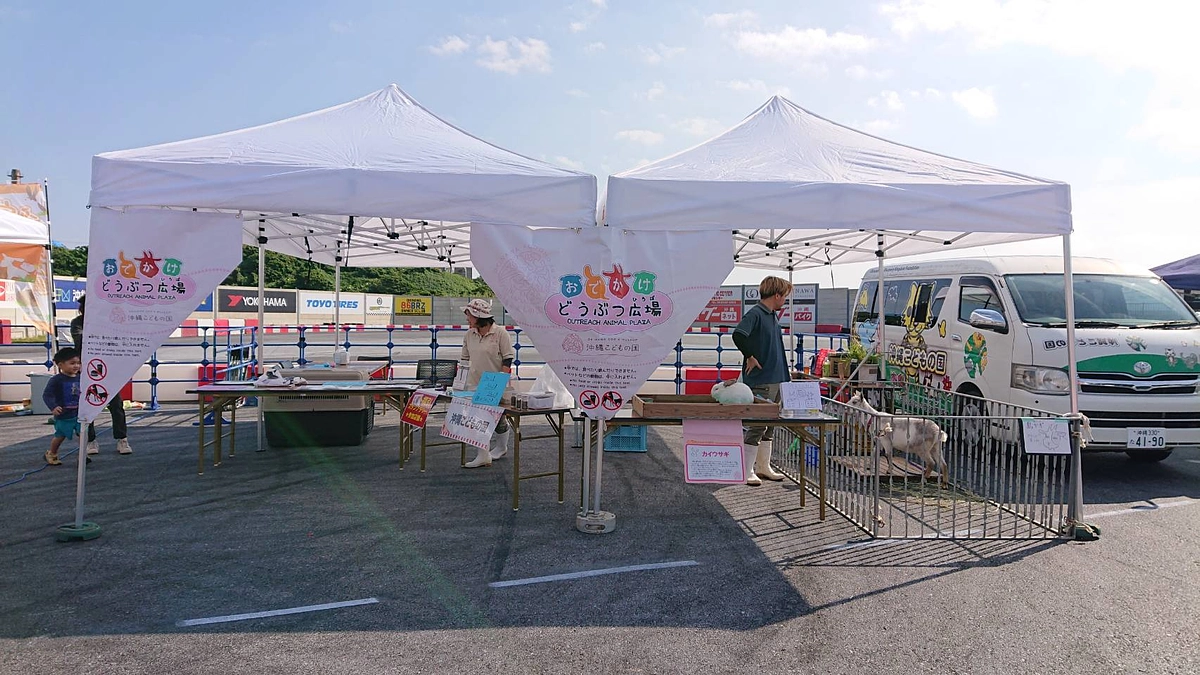 研究会に参加してきました！