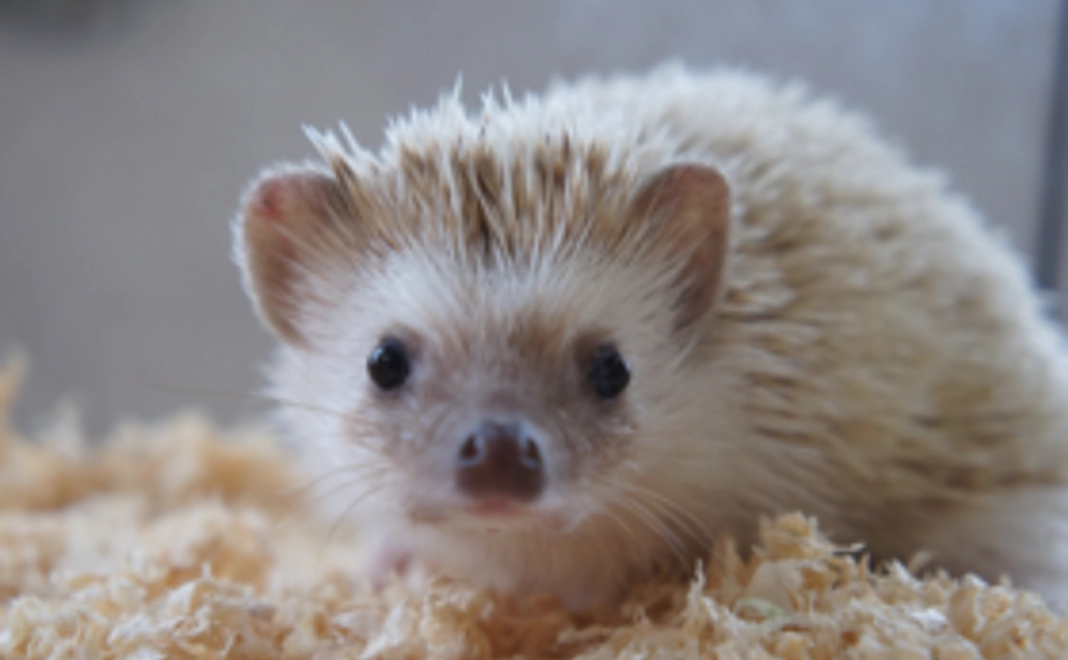 進学相談会当日の様子をまとめたレポートをお送りします！