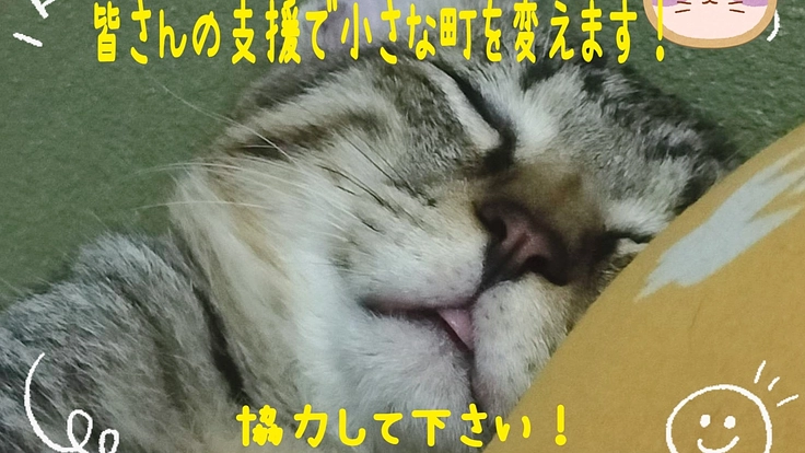 三国町を本気で活性化させる為に新しい一歩を踏ませて下さい！！