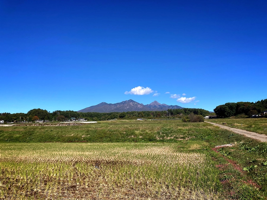 本クラウドファンディングに沢山のご支援をいただき、どうもありがとうございました！