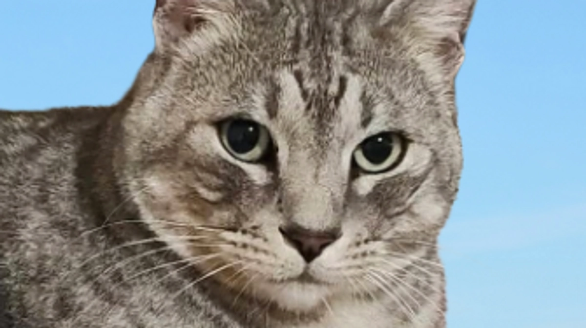 本日入金になりました。