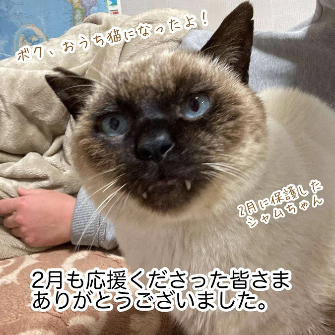 継続寄付1月分のご報告と2月の収支報告