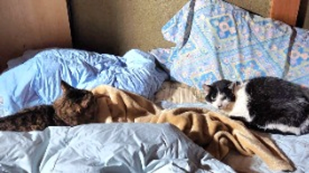 貴重なツーショット📷