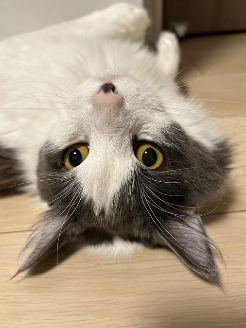 達成率92%！！！あと32時間‼️