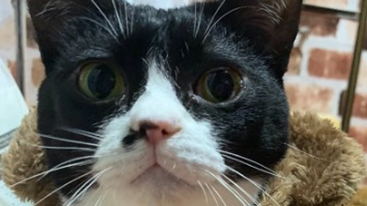 継続型新プロジェクト、開始致しました。