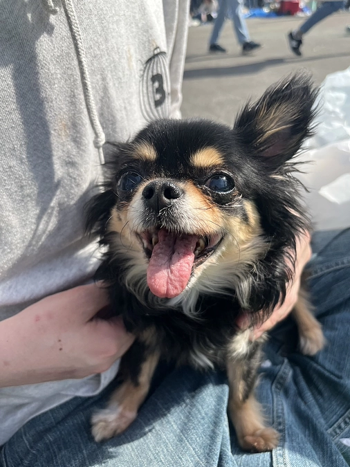 審査が通過し、ついにクラウドファンディングを始めることができました。