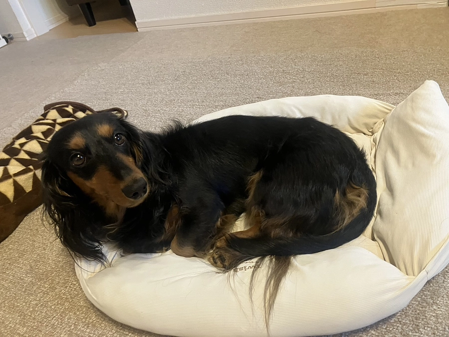 【介護の日常】