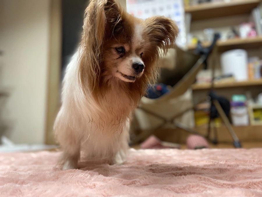 【34日目】カウントダウンの苦しさ〜