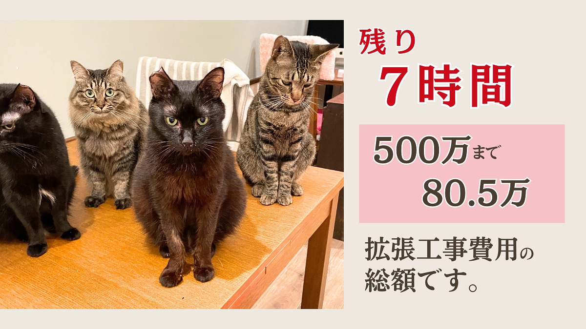 【残り7時間・最後迄達成を目指して頑張ります。】拡張工事にかかる費用の総額です。