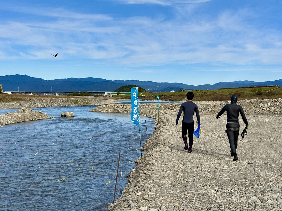 本日は物部川で2回目の落ちあゆ調査です。