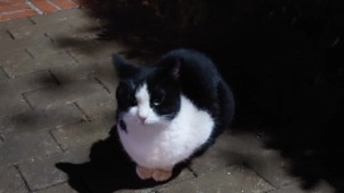 支援者様にお願いです。