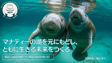 目指すは共存できる未来｜アフリカマナティー保全プロジェクト のトップ画像