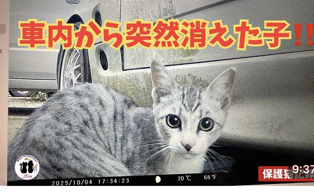 車内から消えた子!!どこにいるの??
