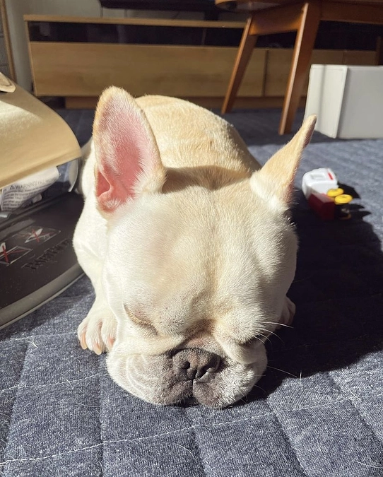 ありがとうございました！！