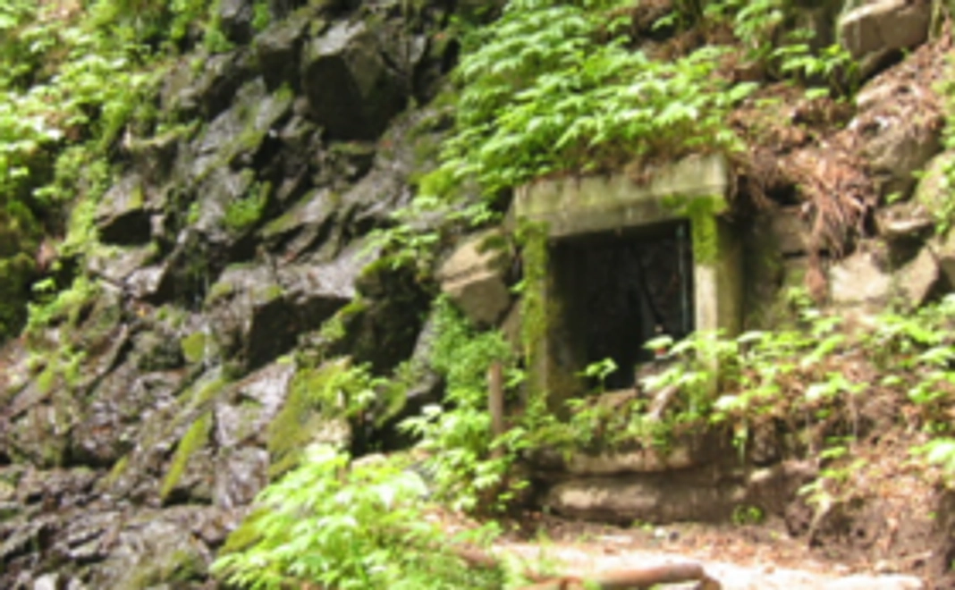 【3,000円支援コース】