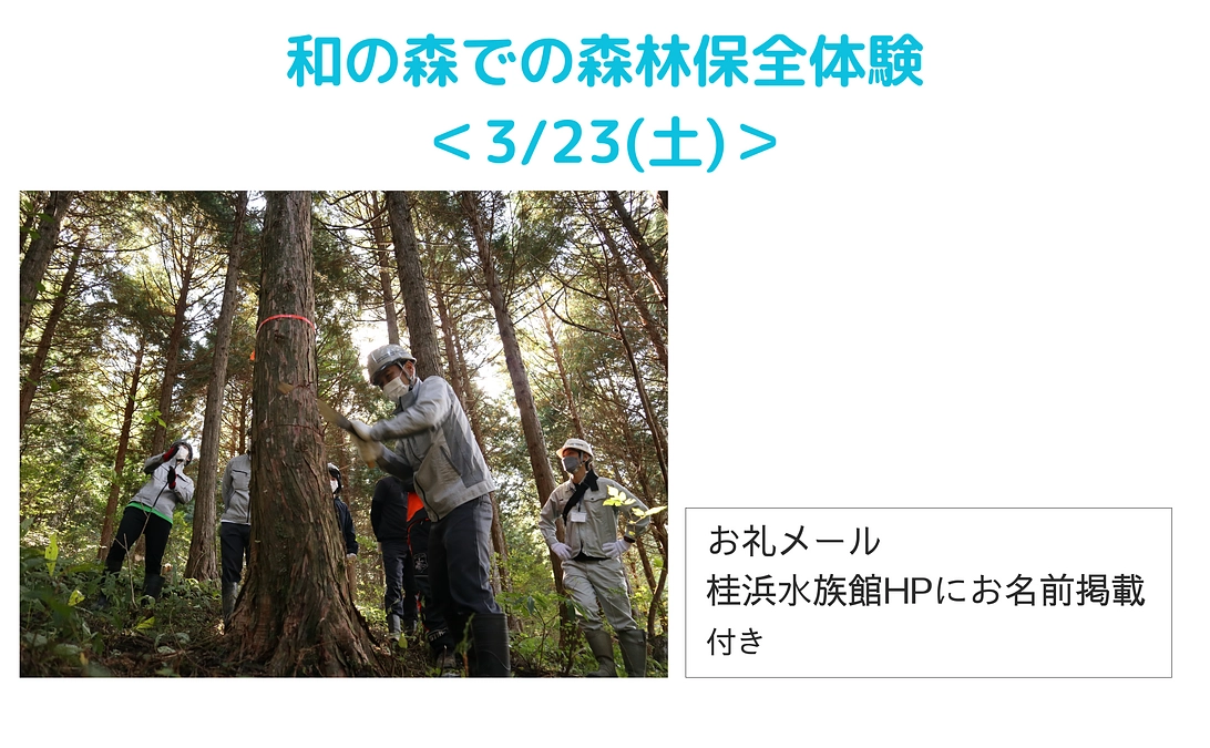【追加リターン！】体験応援｜和の森での森林保全体験＜3/23(土)＞