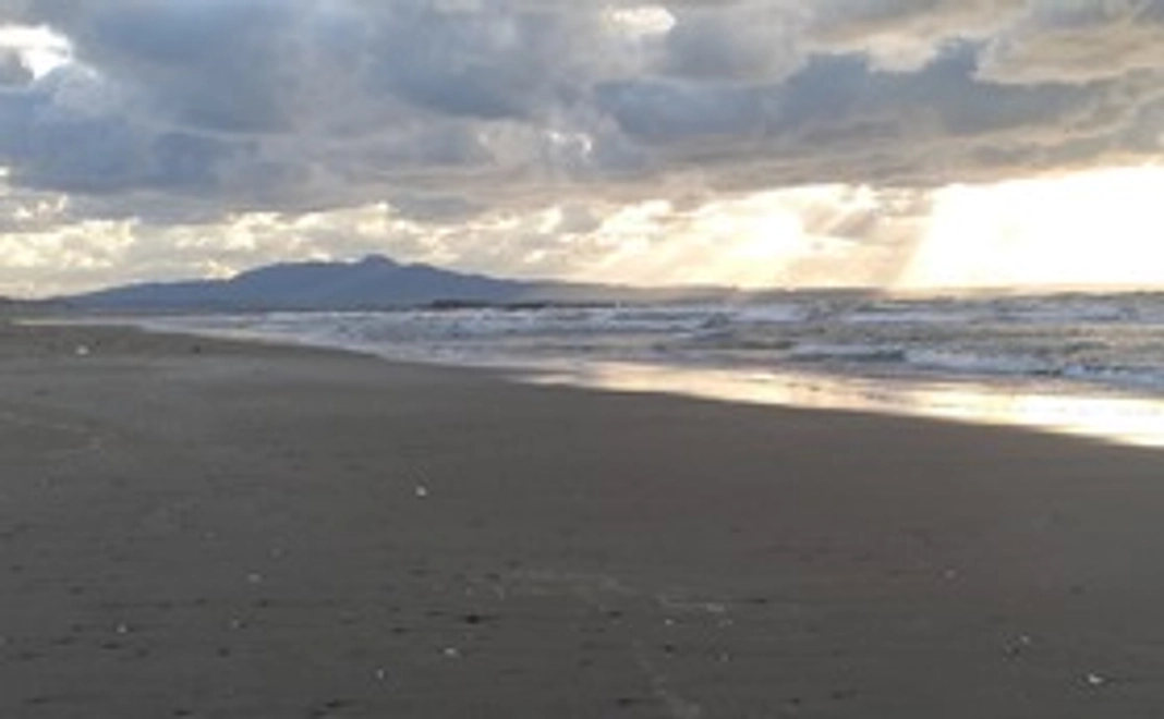 感謝のメールと最新情報