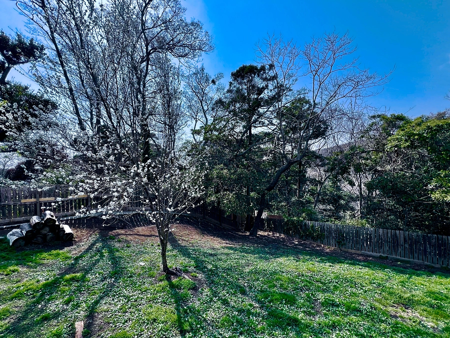 シェルターが運営できているのは近隣住民の皆様のご協力のおかげです。