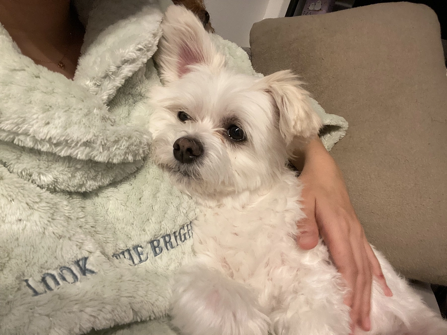 そるとのお薬について💊