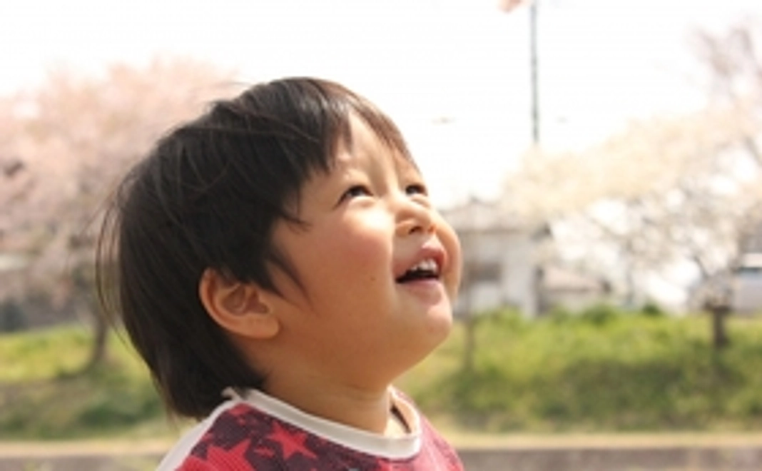 お礼のメールとプラカード画像データ