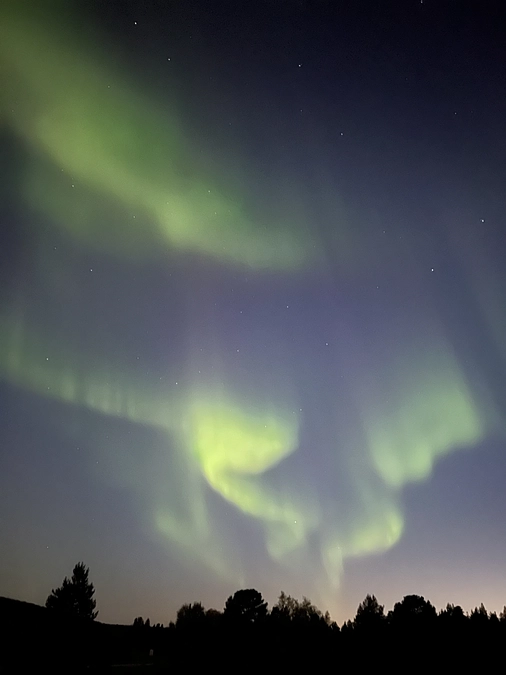 本日ゴールです！