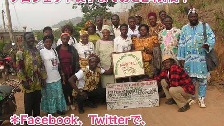 カメルーン北西地区の貧困改善のため、豚舎を建築したい