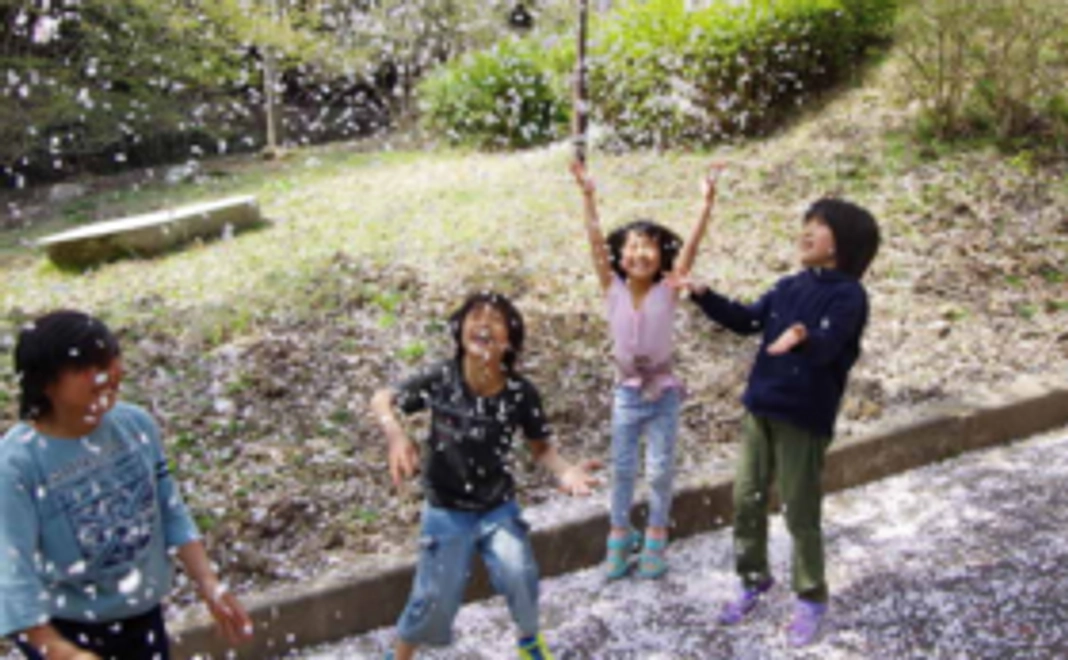 【お気持ちコース】