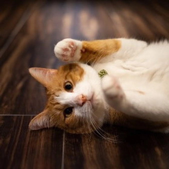 1stゴールまであと少しです！