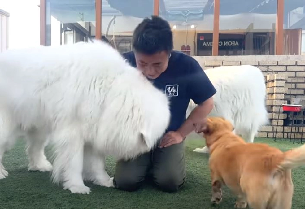 50％を超えるご支援！　270万円を超えるご支援　ありがとうございます！