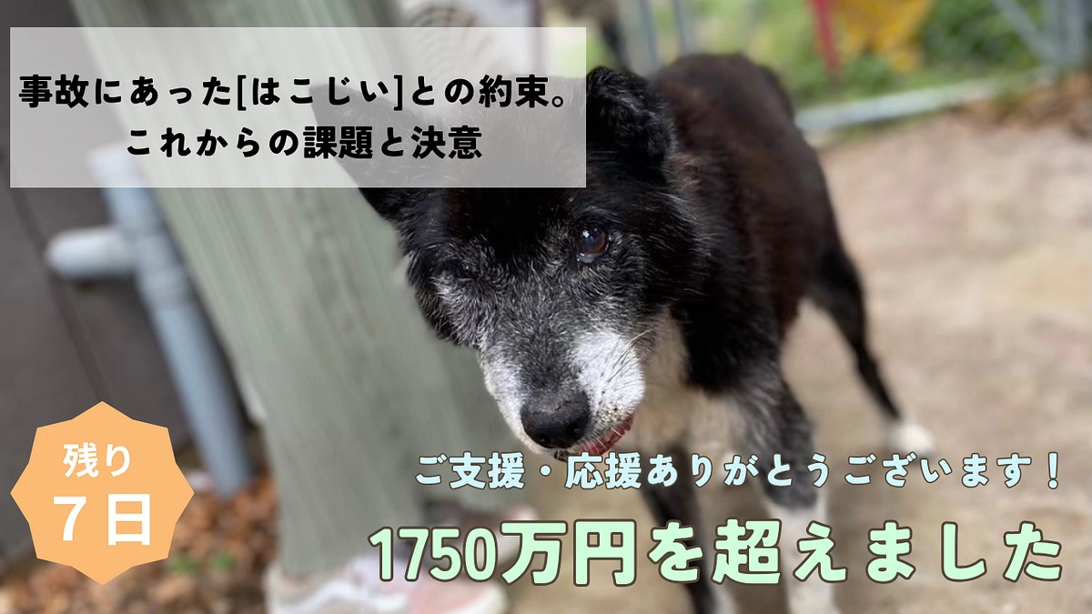 事故にあった[はこじい]との約束。 これからの課題と決意