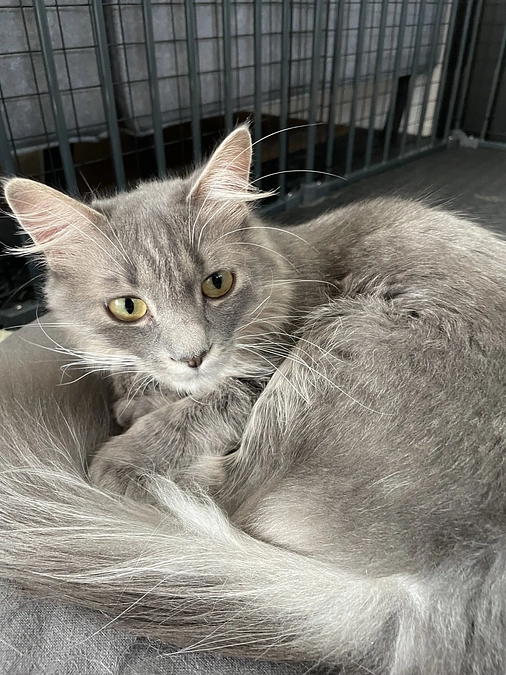 代理支援頂きました！