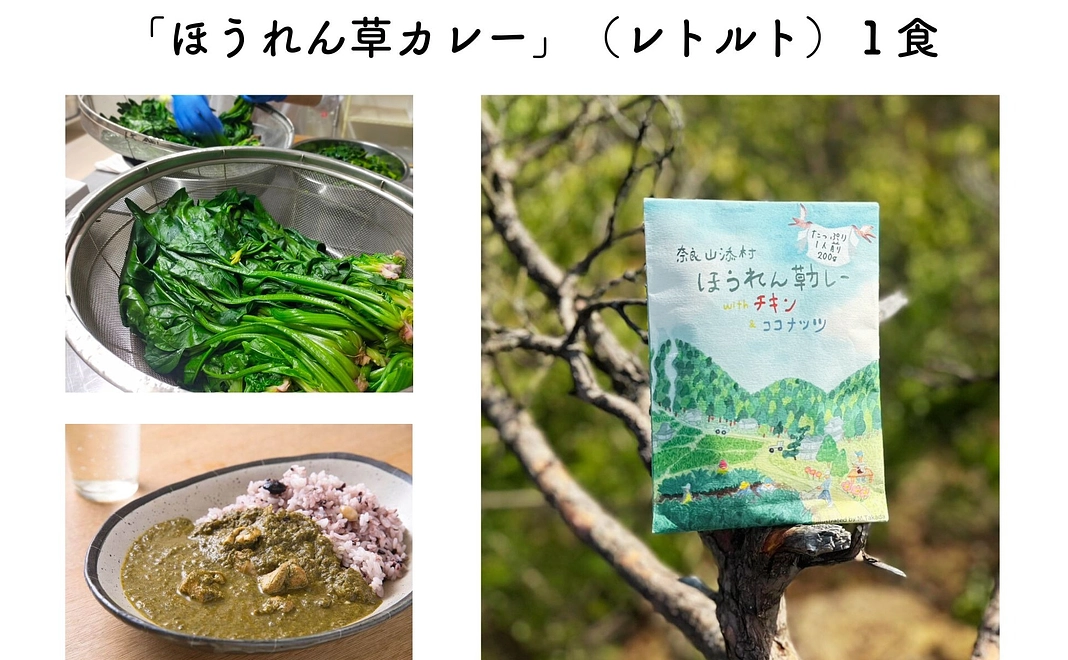 ほうれん草カレー1食