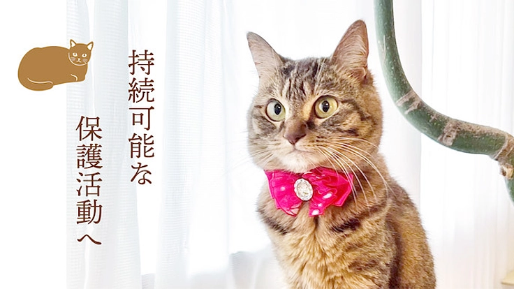 ラーメンの力で猫を助ける「保護猫ラーメンカフェ」を作ります! 3枚目