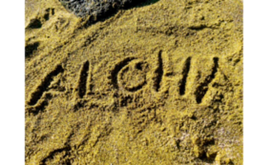 5000円応援コース｜感謝の気持ちを込めたメッセージカードをハワイからお送りします！