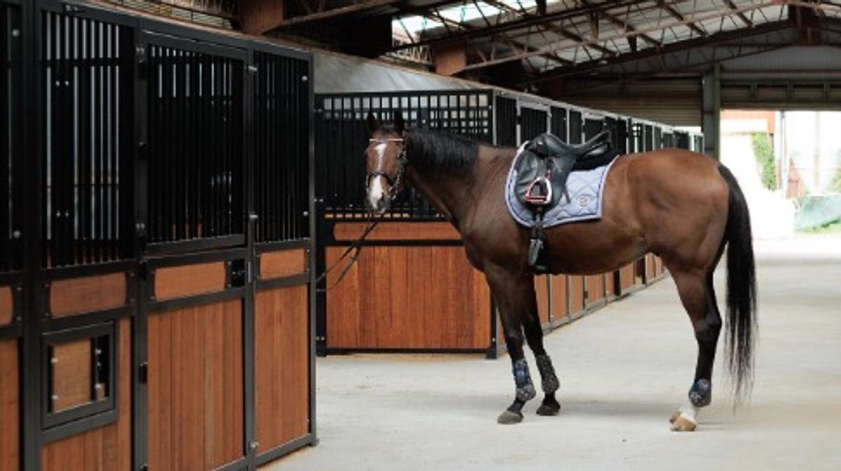 厩舎が完成いたしました！！！！(大感謝です)