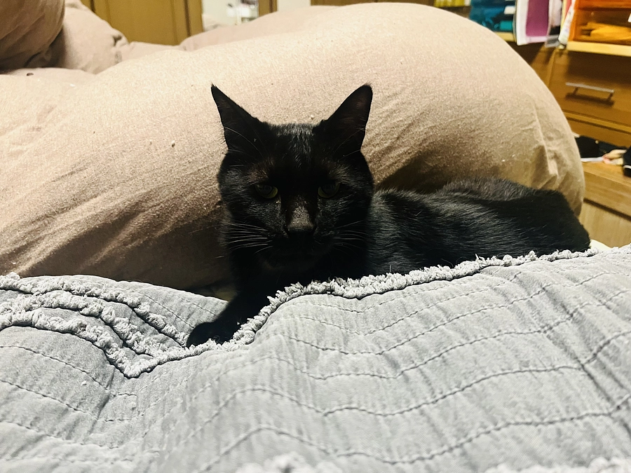 二回もお薬吐いた！