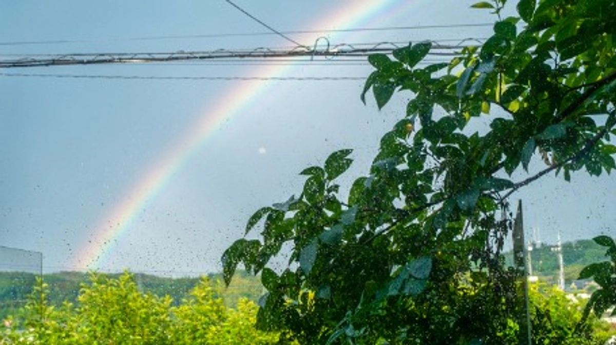 第一目標達成！誠にありがとうございます！第二目標へ向けて