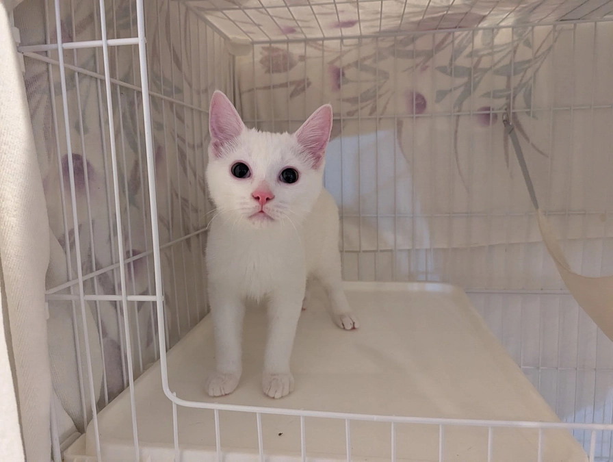 １月２９日は栗ごはんとのんたんのお届けでした♪